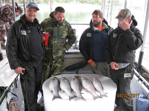 Nice Striped Bass